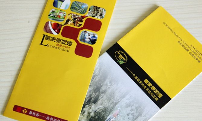 宣传单页/宣传折页